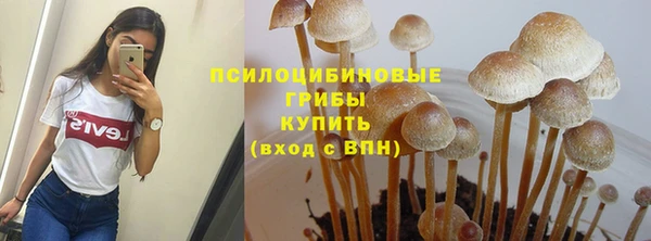 MDMA Premium VHQ Верхний Тагил