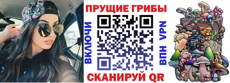 Псилоцибиновые грибы прущие грибы  Чита 